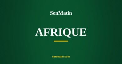 SenMatin, rubrique Afrique